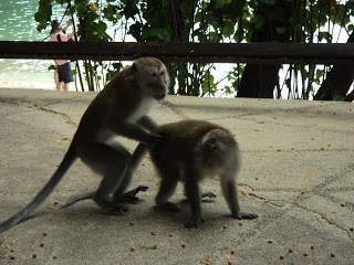 ai1306.photobucket.com_albums_s566_Rita_Chambel_DSC02872.jpg