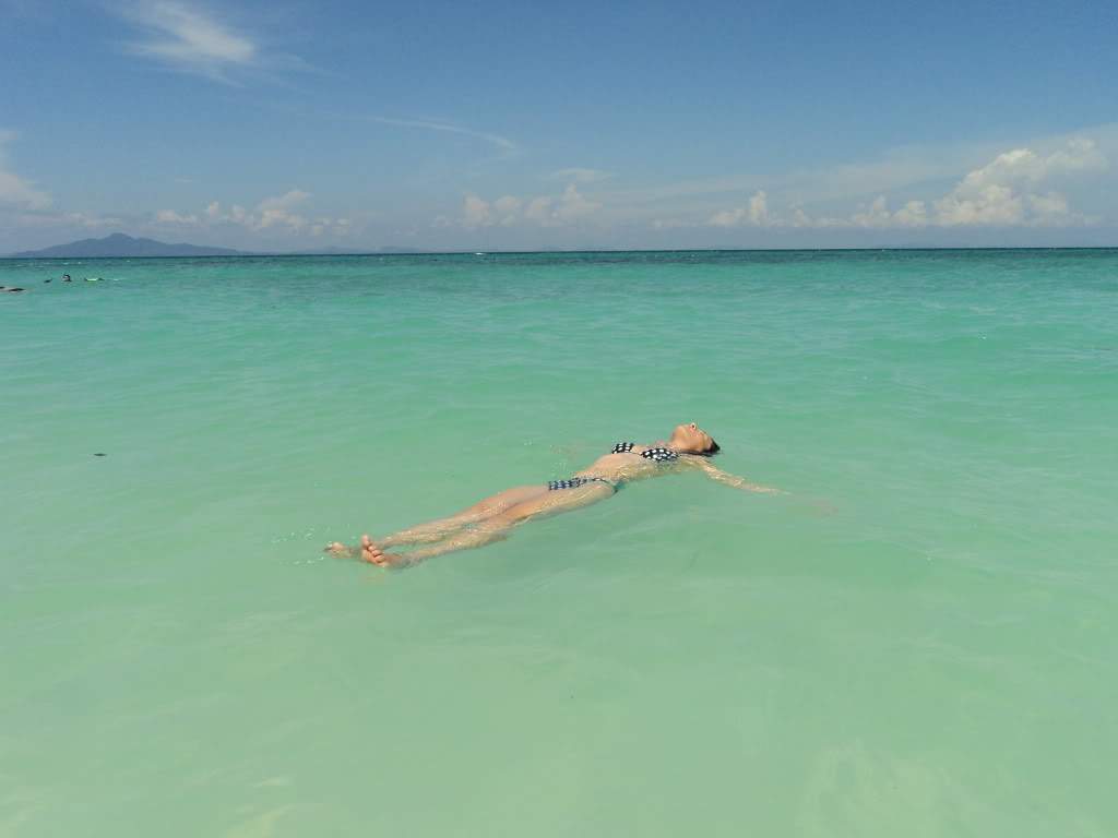 ai1306.photobucket.com_albums_s566_Rita_Chambel_DSC02977_1.jpg