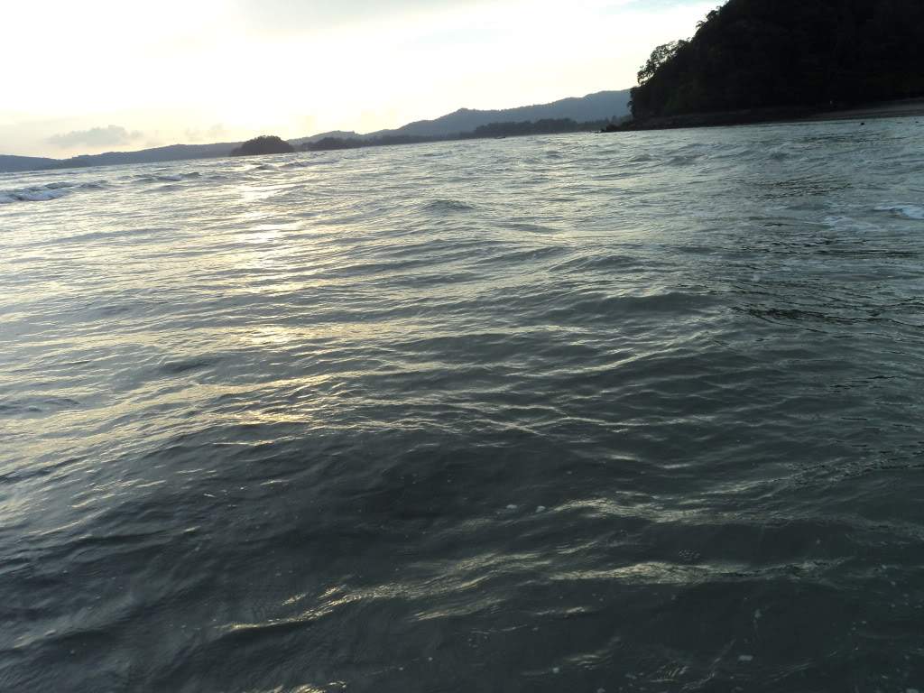 ai1306.photobucket.com_albums_s566_Rita_Chambel_DSC03026.jpg