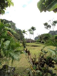 ai1306.photobucket.com_albums_s566_Rita_Chambel_DSC03150.jpg