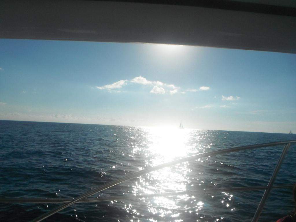 ai1321.photobucket.com_albums_u555_Cristina_Bento_10669089_10157d4a0f160c47449e8b4d47a69ec8834.jpg