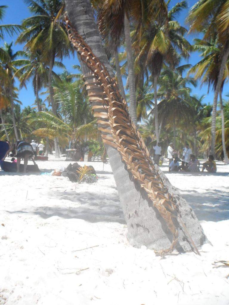 ai1321.photobucket.com_albums_u555_Cristina_Bento_10683654_1012e48d641d1d732e2daa8b58defd3d8d8.jpg