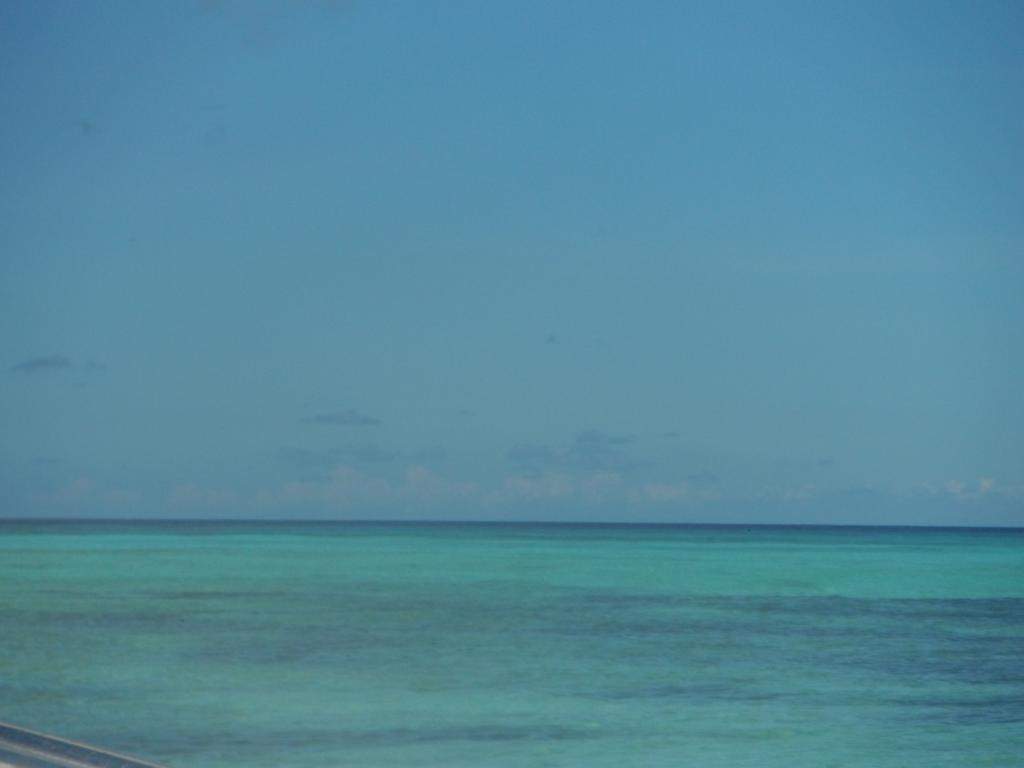 ai1321.photobucket.com_albums_u555_Cristina_Bento_DSCF3966_zpsada28c74.jpg