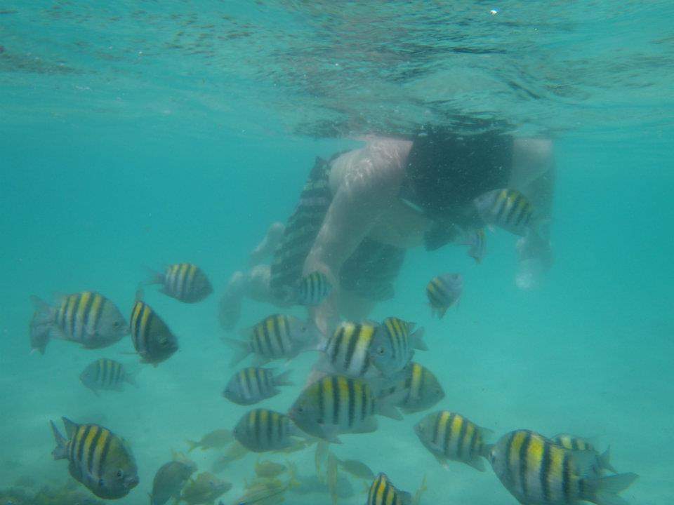 ai1347.photobucket.com_albums_p709_sofiaclemos_Snorkling2_zpsb1498a9f.jpg
