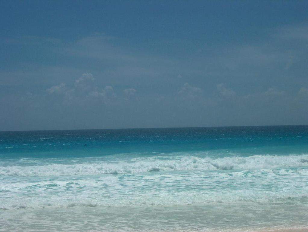 ai1347.photobucket.com_albums_p712_Rui_Araujo_Facebook_Cancun_091aaebc2ad8379d397137f6d452f4cb.jpg