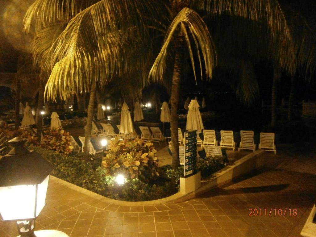 ai1347.photobucket.com_albums_p712_Rui_Araujo_Facebook_Cancun_9df83502b98a6de752ec23f118b6e33a.jpg