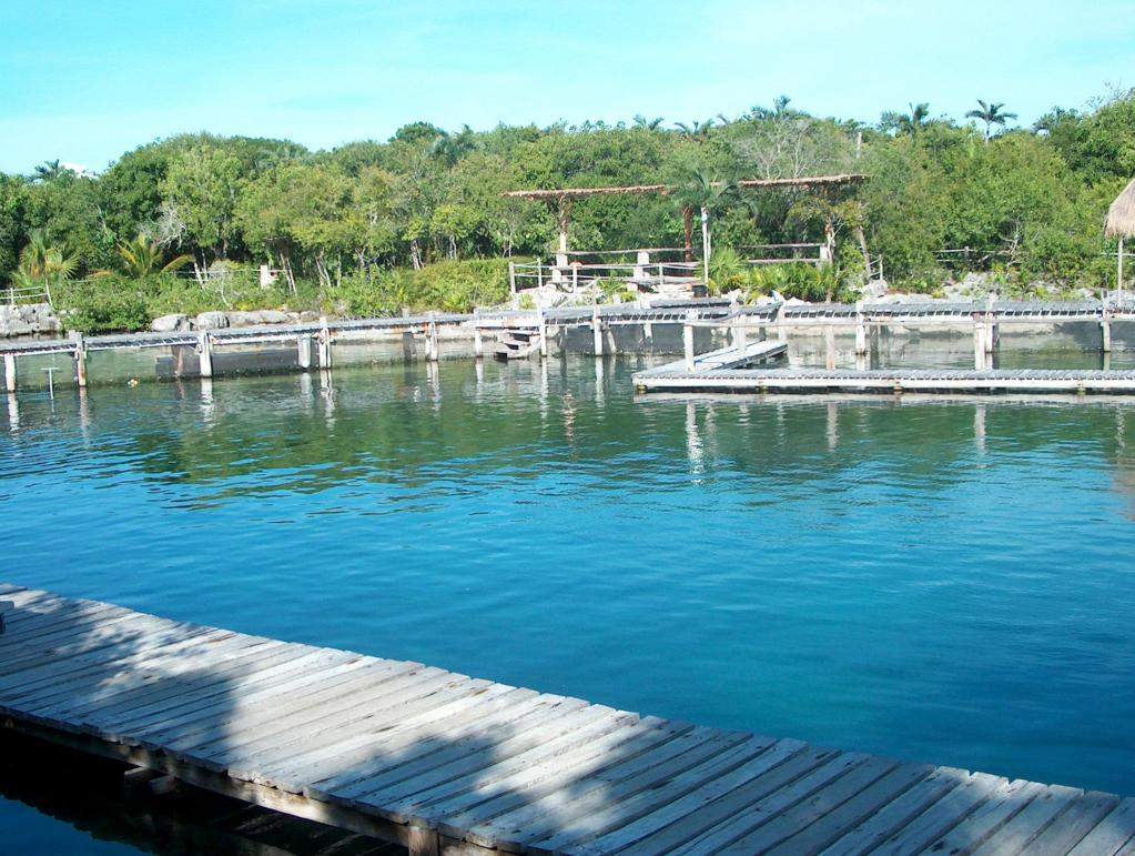 ai1347.photobucket.com_albums_p712_Rui_Araujo_Facebook_Cancun_e3f56526a5e1d78d2e3f9ecdced97dd7.jpg