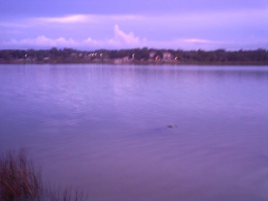 ai1347.photobucket.com_albums_p712_Rui_Araujo_Facebook_Mxico_24b9e034616087e0a90341ecdd3395c47.jpg