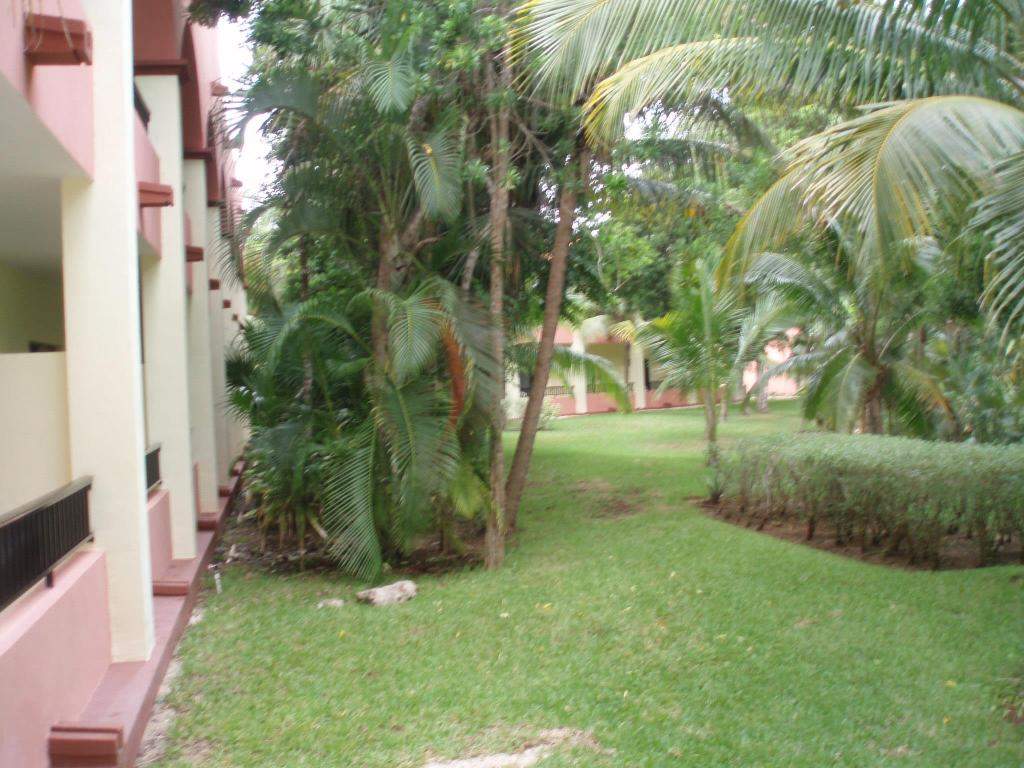 ai1347.photobucket.com_albums_p712_Rui_Araujo_Facebook_Mxico_26fb1918853bc1f3ace76a1d20379e038.jpg