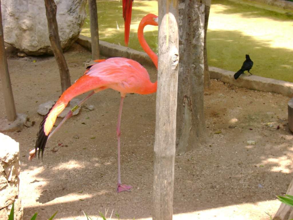 ai1347.photobucket.com_albums_p712_Rui_Araujo_Facebook_Mxico_27b114cc14c3a09cee402bf5bdc99cfdf.jpg