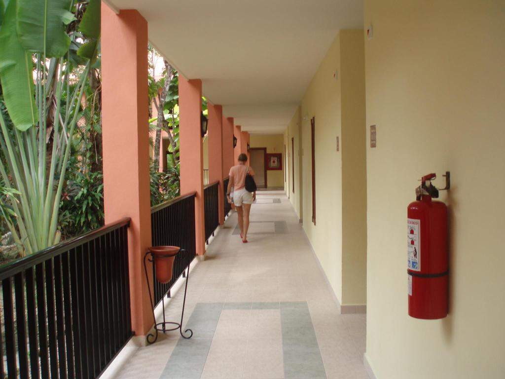 ai1347.photobucket.com_albums_p712_Rui_Araujo_Facebook_Mxico_2e05d0276e45105e9bc3f64c294f6d19f.jpg