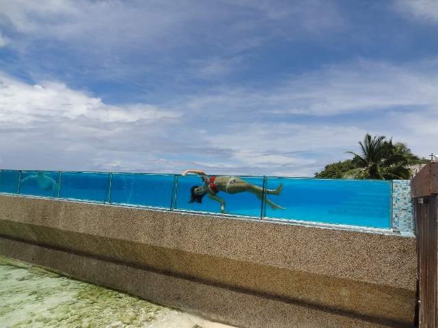 ai1349.photobucket.com_albums_p758_janja83_DSC01717640x480_zpse78e62a7.jpg