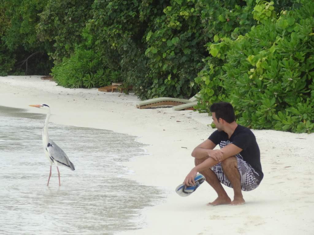 ai1349.photobucket.com_albums_p758_janja83_DSC01779_zps7078f13b.jpg