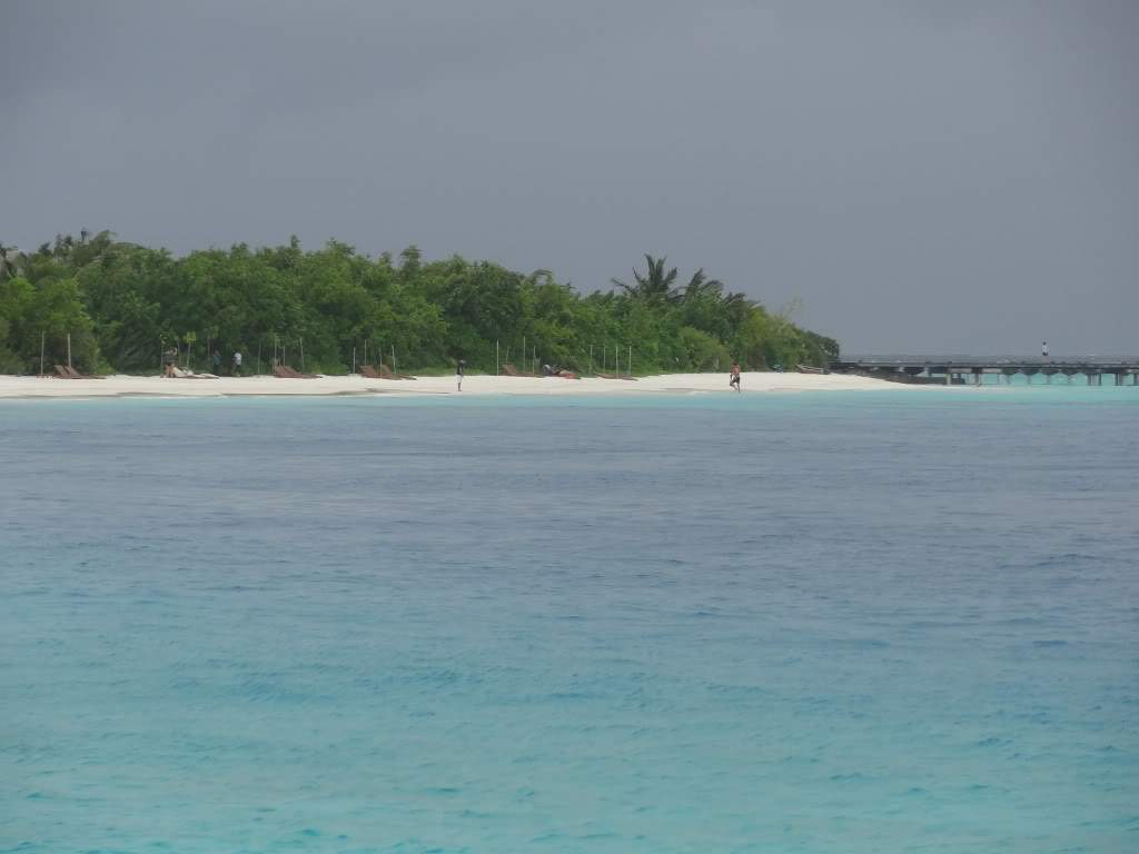 ai1349.photobucket.com_albums_p758_janja83_DSC02147_zpsff0a8c21.jpg
