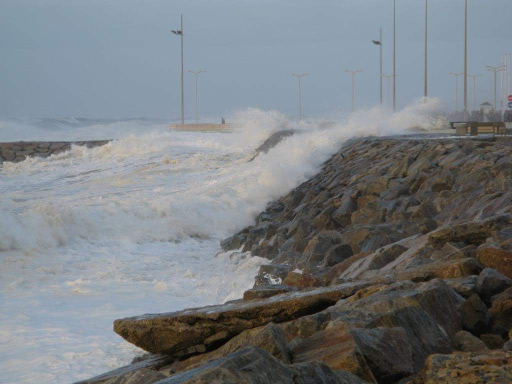 ai1353.photobucket.com_albums_q673_oscarreis_Diversos_IMG_5705_zps4294982e.jpg