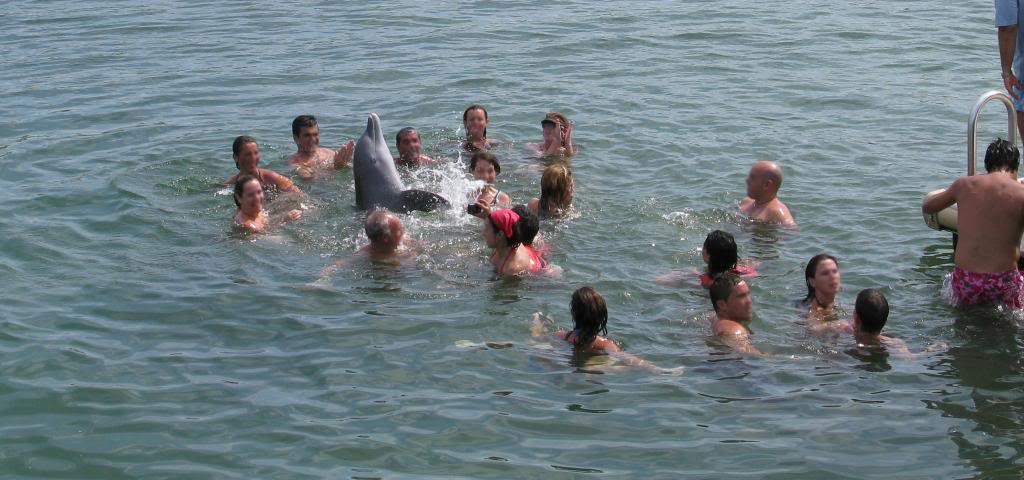 ai1353.photobucket.com_albums_q673_oscarreis_OndeFoto__5_154_zpseca1fc38.jpg