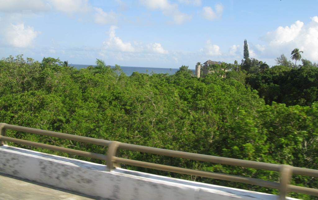 ai1353.photobucket.com_albums_q673_oscarreis_OndeFoto_OqueFUIver_zps4b446040.jpg