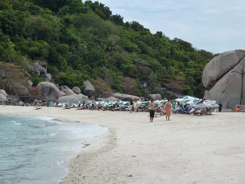 ai1353.photobucket.com_albums_q678_NECM_KohNangYuang16Cpia_zps75a46fc5.jpg