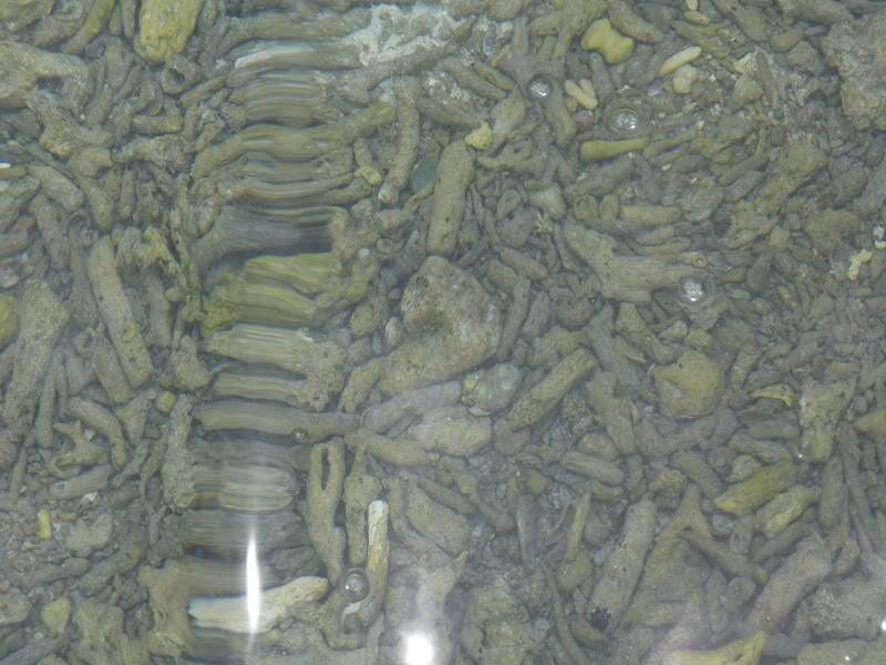 ai1353.photobucket.com_albums_q678_NECM_KohNangYuang17Cpia_zpsa16eed3f.jpg
