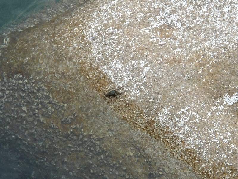ai1353.photobucket.com_albums_q678_NECM_KohTao7Cpia_zps17e6872d.jpg