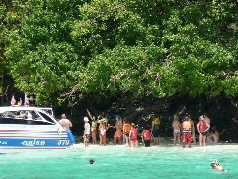 ai1353.photobucket.com_albums_q678_NECM_TourPhiPhi38Cpia_zps0831c548.jpg