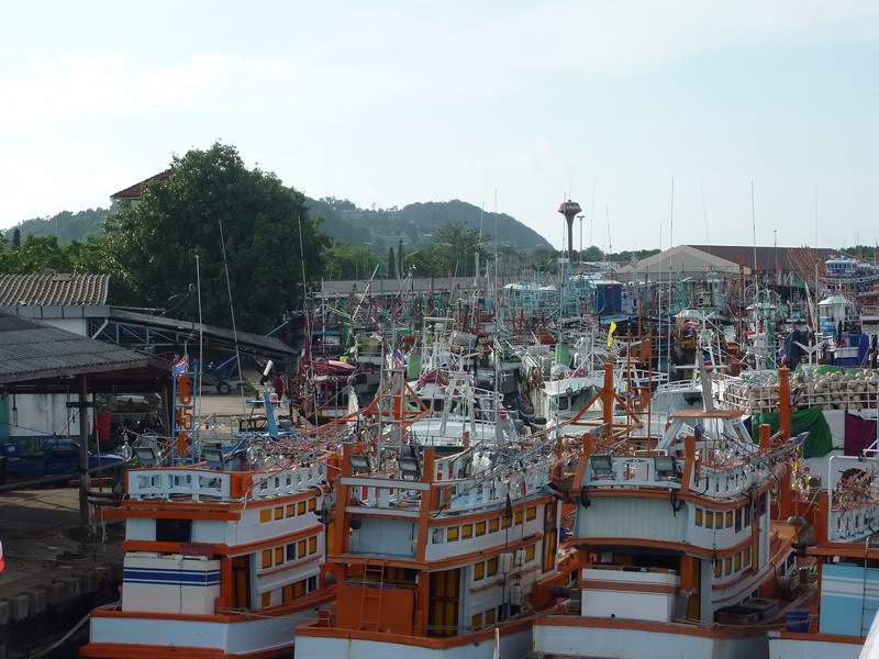 ai1353.photobucket.com_albums_q678_NECM_TourPhiPhi4Cpia_zps4b30b558.jpg