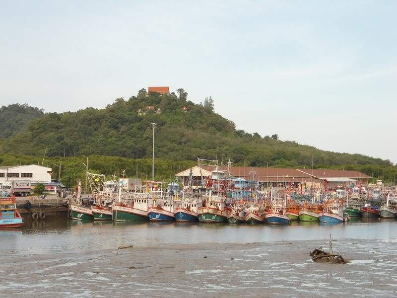 ai1353.photobucket.com_albums_q678_NECM_TourPhiPhiTourPhiPhi61Cpia_zpsfa8b873d.jpg