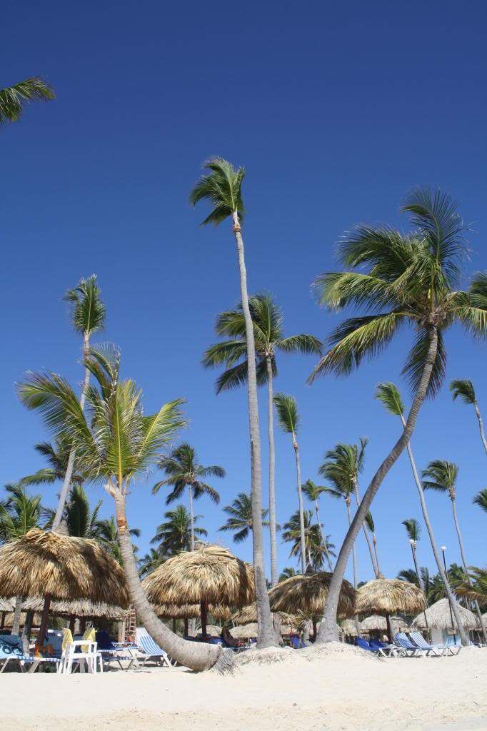ai1355.photobucket.com_albums_q708_labcrypt_Punta_20Cana_202013_IMG_0386_zps54c63a15.jpg