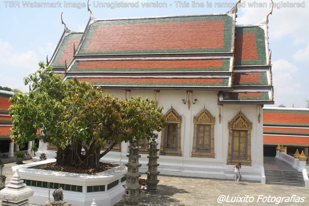 ai1355.photobucket.com_albums_q708_labcrypt_Thai_2014.04.24_20Tailacircndia_20041_zpsycskpfzr.jpg