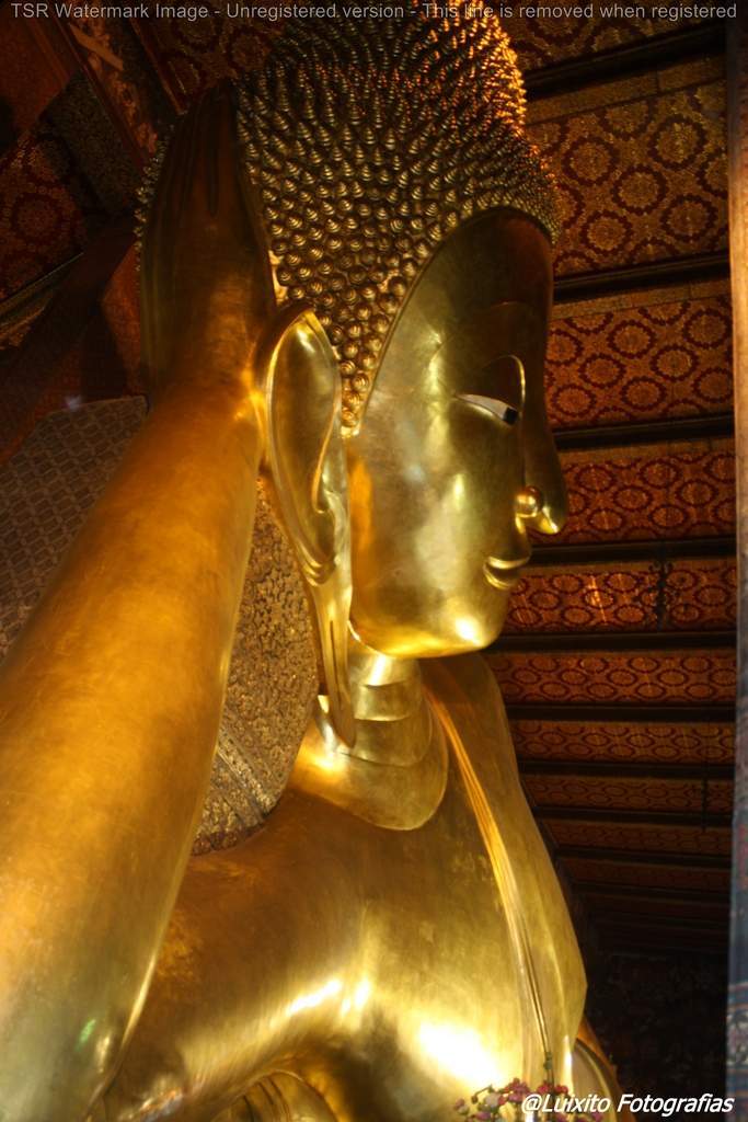 ai1355.photobucket.com_albums_q708_labcrypt_Thai_2014.04.24_20Tailacircndia_20169_zpsiymmcwsr.jpg
