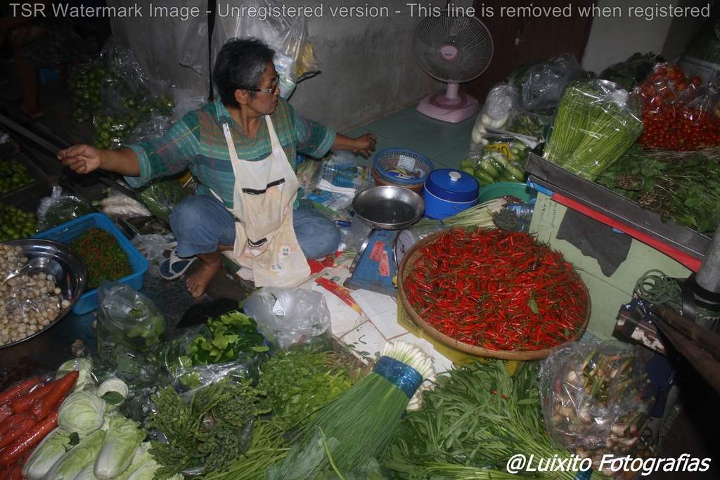 ai1355.photobucket.com_albums_q708_labcrypt_Thai_2014.04.24_20Tailacircndia_20445_zpsmsfk68sp.jpg