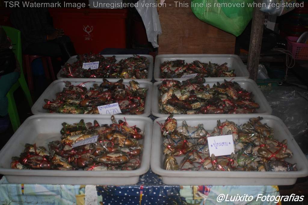 ai1355.photobucket.com_albums_q708_labcrypt_Thai_2014.04.24_20Tailacircndia_20452_zps9gwp5mer.jpg