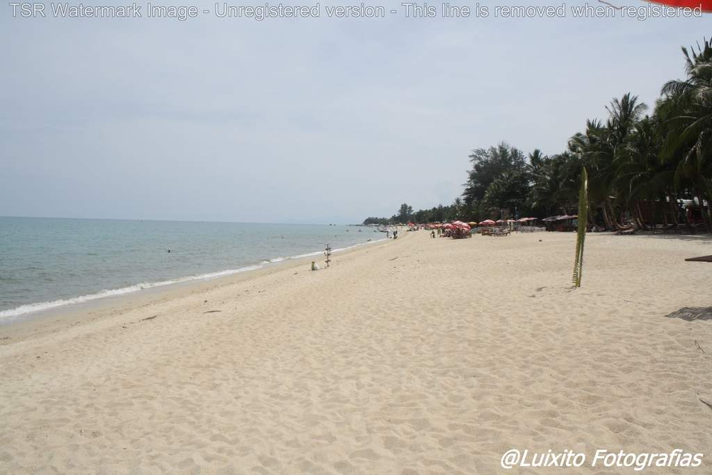 ai1355.photobucket.com_albums_q708_labcrypt_Thai_2014.04.24_20Tailacircndia_20679_zps2cld99mu.jpg