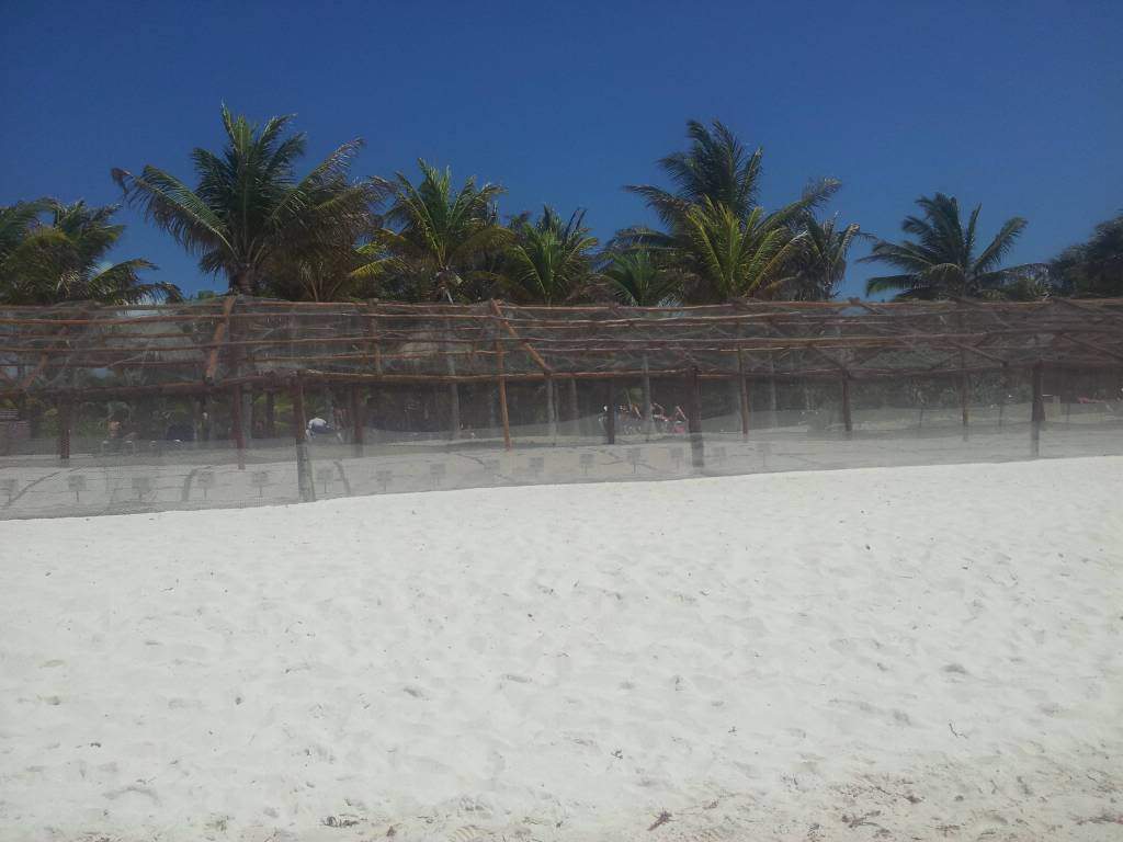 ai1358.photobucket.com_albums_q767_crystyanah_20130517_181236_zps548a4bc5.jpg