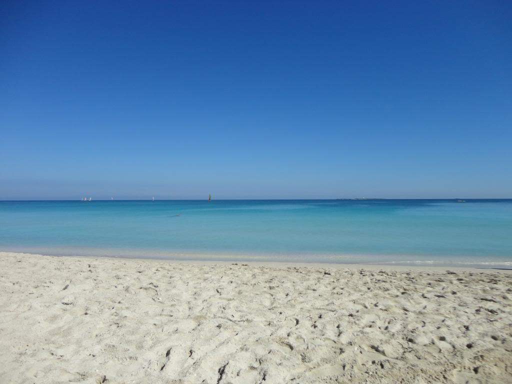 ai1359.photobucket.com_albums_q781_rosa_ralo_Rosa_Cuba_202013_308_zps7a5da276.jpg