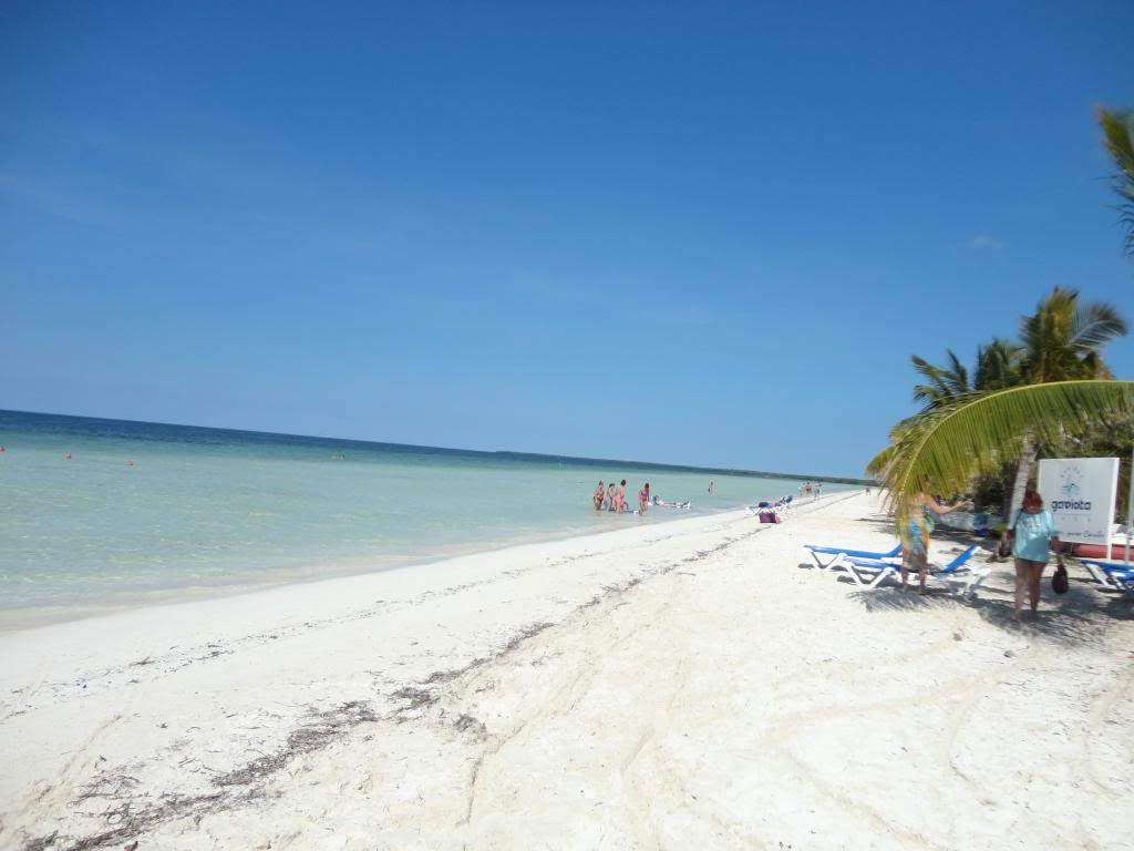 ai1359.photobucket.com_albums_q781_rosa_ralo_Rosa_Cuba_202013_421_zps99d89f79.jpg