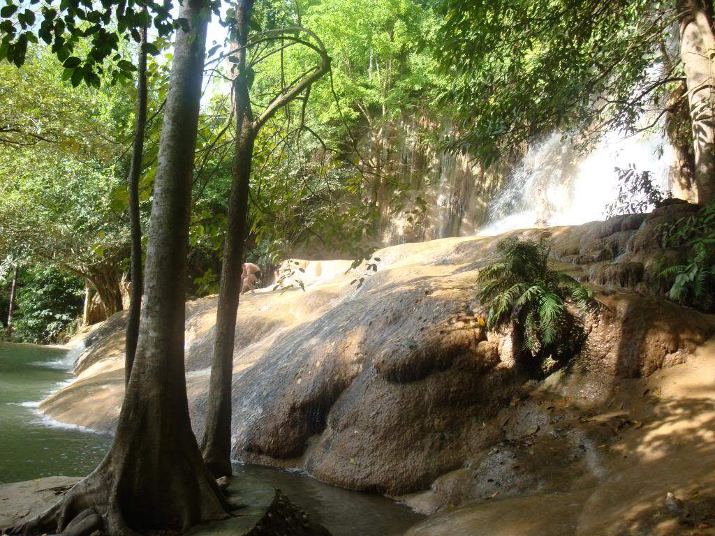 ai1359.photobucket.com_albums_q797_hugocanna_DSC00159_zps475828ca.jpg