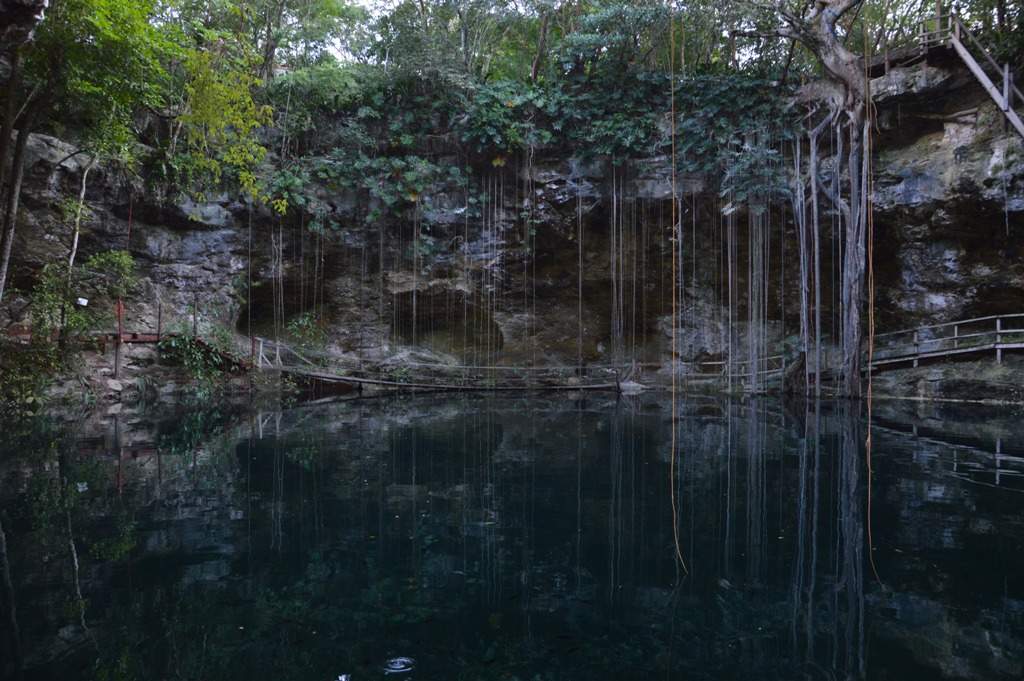 ai1368.photobucket.com_albums_ag187_d3ci0_Mexico_202013_DSC_0846_zpsdfa0eef6.jpg