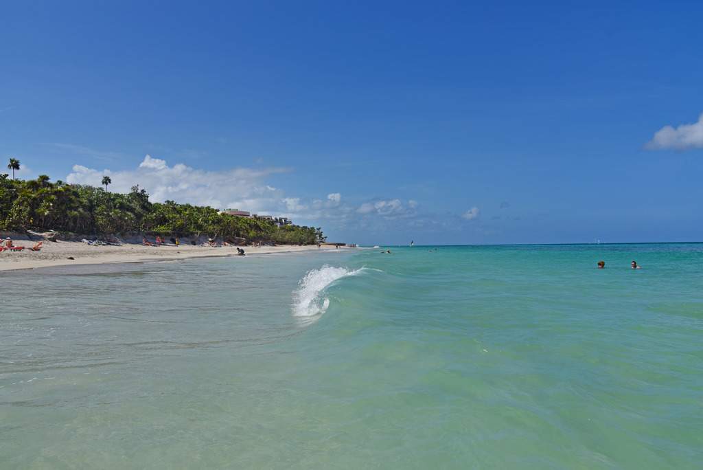 ai1368.photobucket.com_albums_ag192_marcio_correia_DSC_3565_zpseqisfqqi.jpg