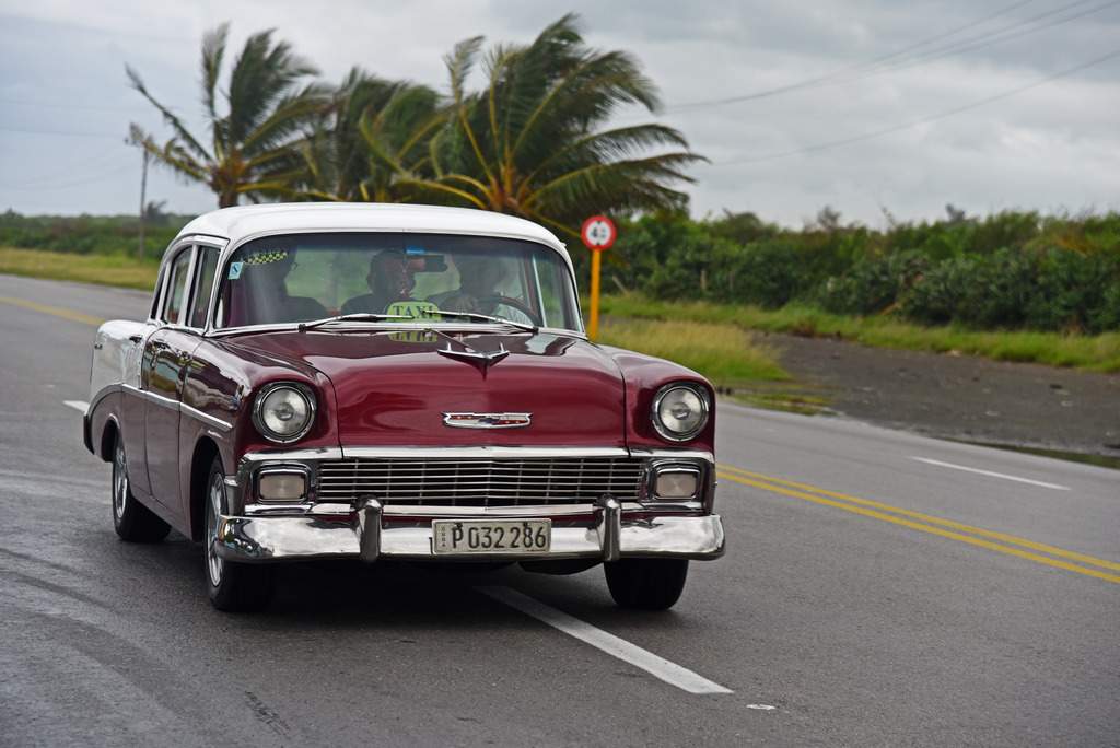 ai1368.photobucket.com_albums_ag192_marcio_correia_DSC_3709_zpsm79z2ju5.jpg