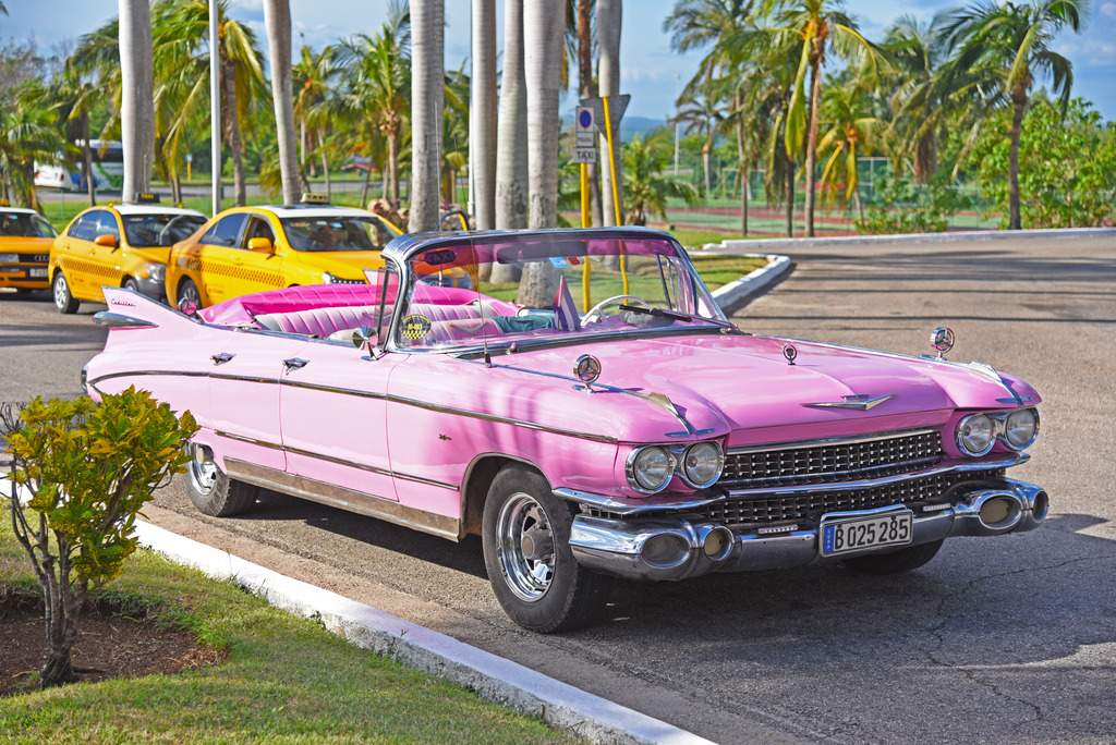 ai1368.photobucket.com_albums_ag192_marcio_correia_DSC_3895_zpsegnh60ha.jpg
