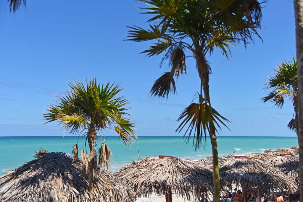 ai1368.photobucket.com_albums_ag192_marcio_correia_DSC_3992_zpsebdzmrsi.jpg