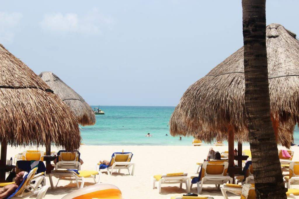 ai1368.photobucket.com_albums_ag192_marcio_correia_IMG_0442_zps3f4b927e.jpg