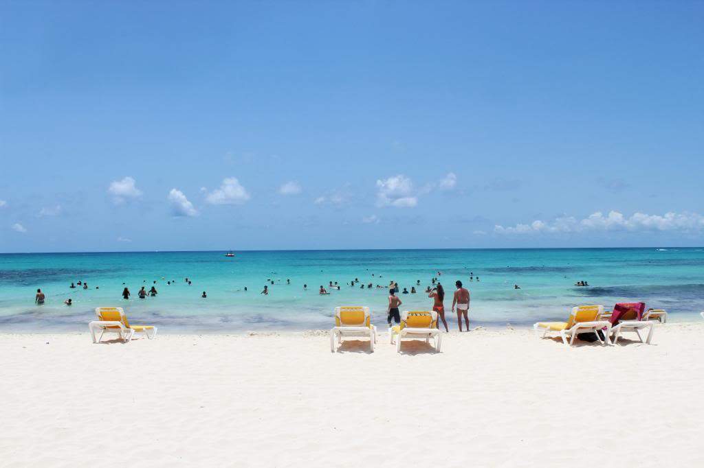 ai1368.photobucket.com_albums_ag192_marcio_correia_IMG_8303_zpsc576a57f.jpg