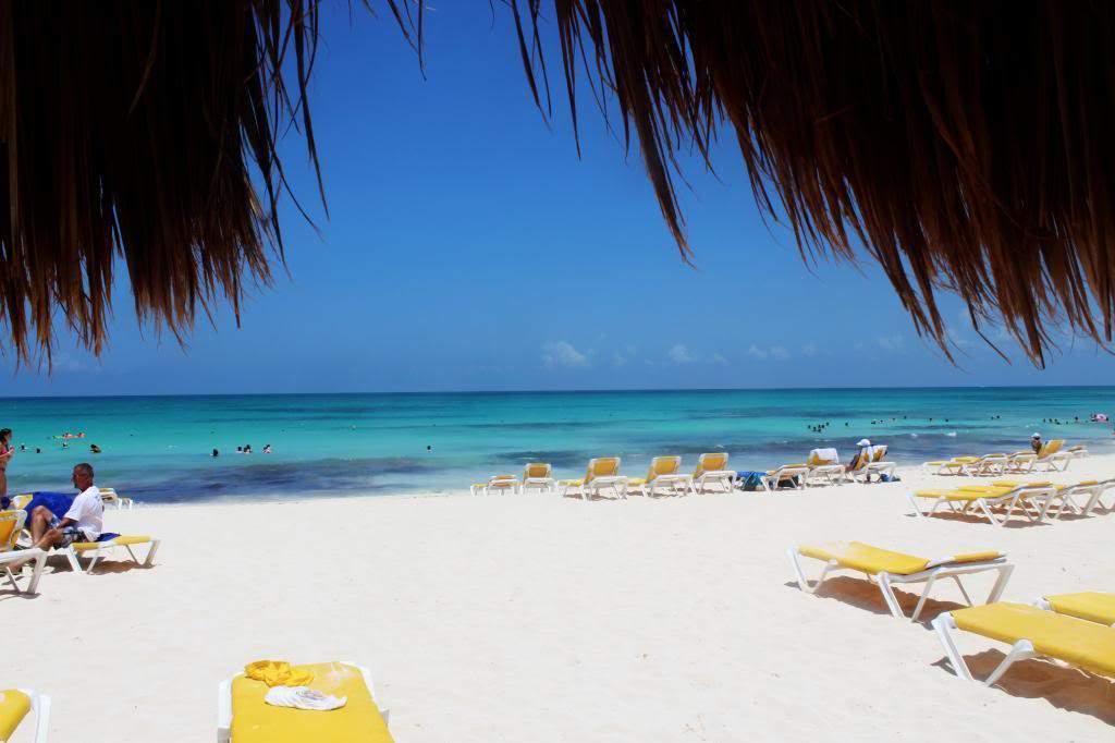ai1368.photobucket.com_albums_ag192_marcio_correia_IMG_8566_zpsdc745029.jpg