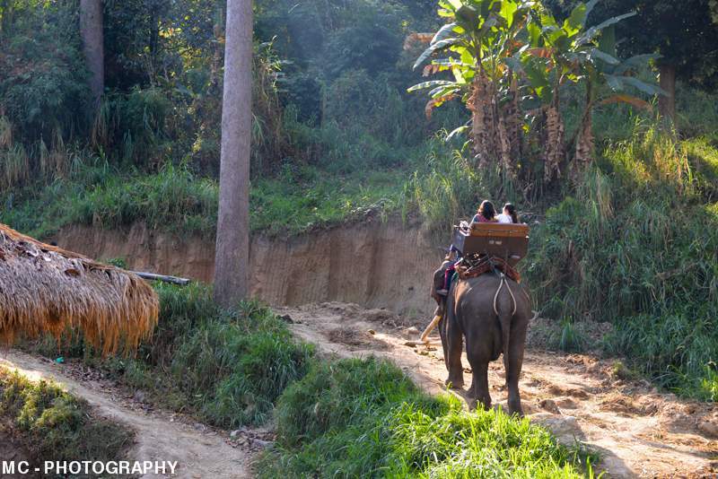 ai1369.photobucket.com_albums_ag214_SilverArrowPT_Tailandia_39_zps304e8f74.jpg