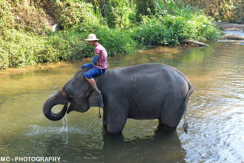 ai1369.photobucket.com_albums_ag214_SilverArrowPT_Tailandia_41_zps1d226739.jpg