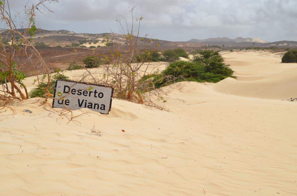 ai1370.photobucket.com_albums_ag256_hladeira_DSC_0159_zps45450376.jpg