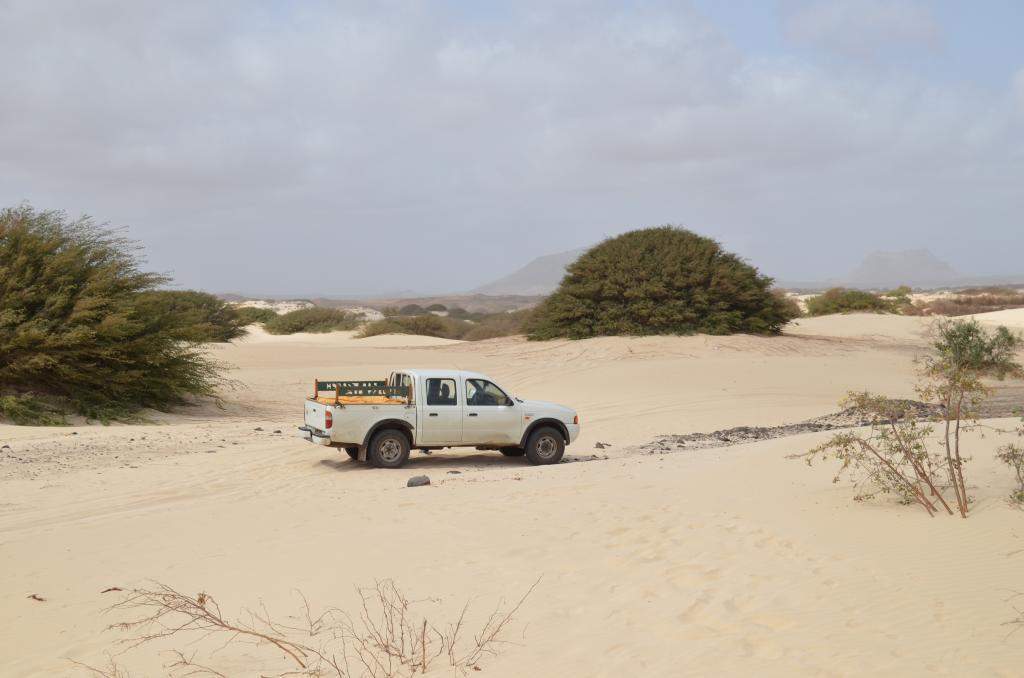 ai1370.photobucket.com_albums_ag256_hladeira_DSC_0171_zps03ca02dc.jpg