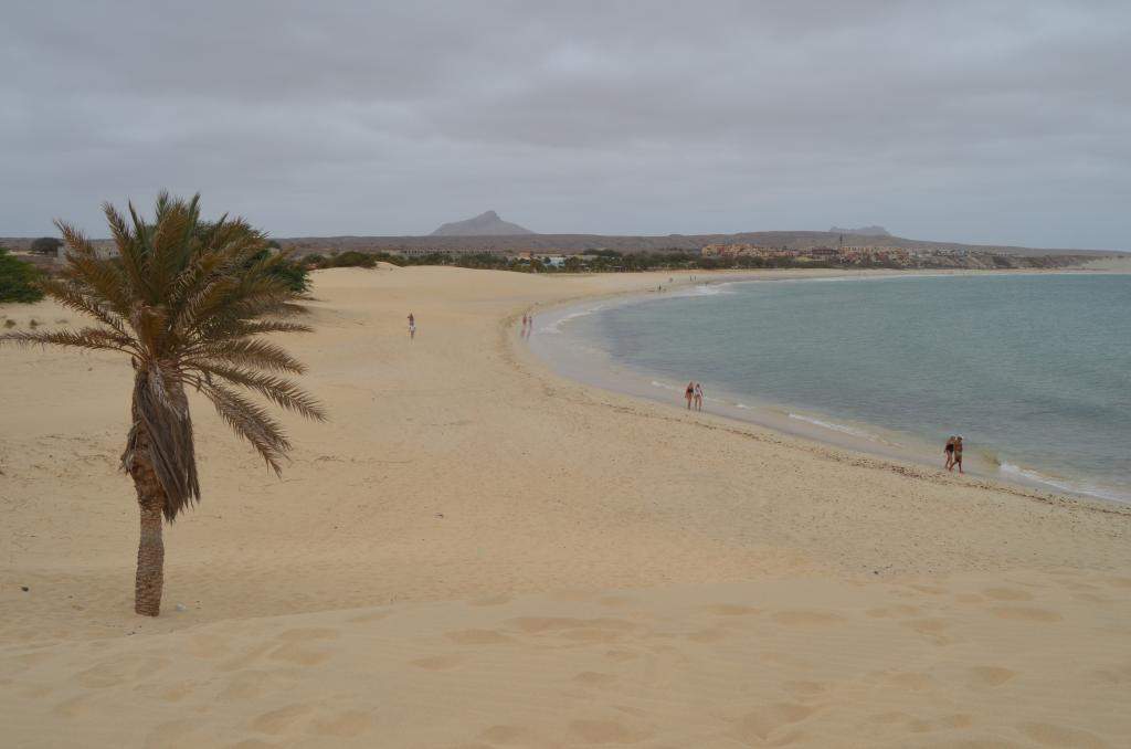 ai1370.photobucket.com_albums_ag256_hladeira_DSC_0210_zps5de41d04.jpg